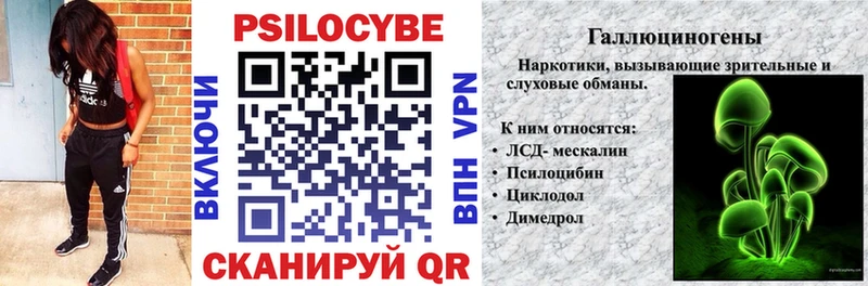 Галлюциногенные грибы Psilocybine cubensis  где найти наркотики  Аша 